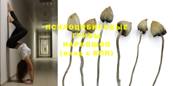 соль курить ск Надым